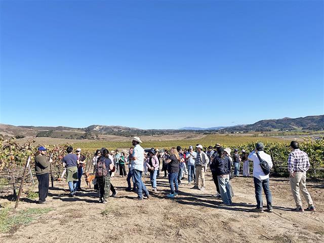 Pali Wine Co.でのヴィンヤードツアーの様子。青空が気持ちいい！